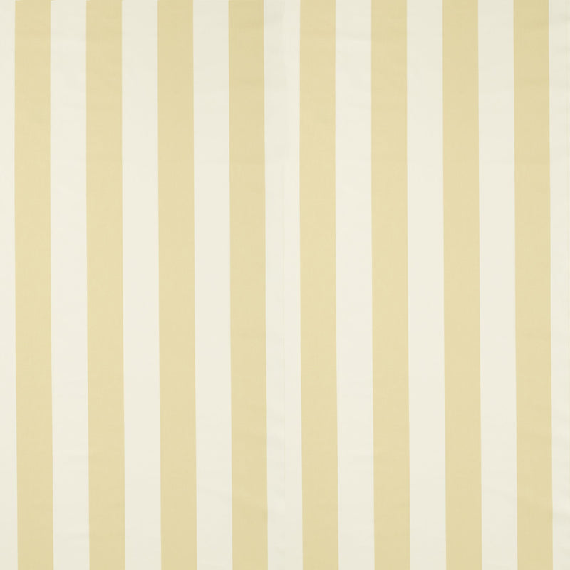 NCEN134796 Central Stripe Buttercup Central Checks & Stripes Fabric by Scion