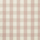 NCEN134797 Central Check Blush Central Checks & Stripes Fabric by Scion