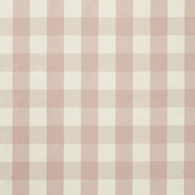 Central Check Blush Central Checks & Stripes Fabric by Scion