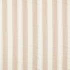 NCEN134798 Central Stripe Blush Central Checks & Stripes Fabric by Scion