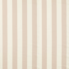NCEN134798 Central Stripe Blush Central Checks & Stripes Fabric by Scion