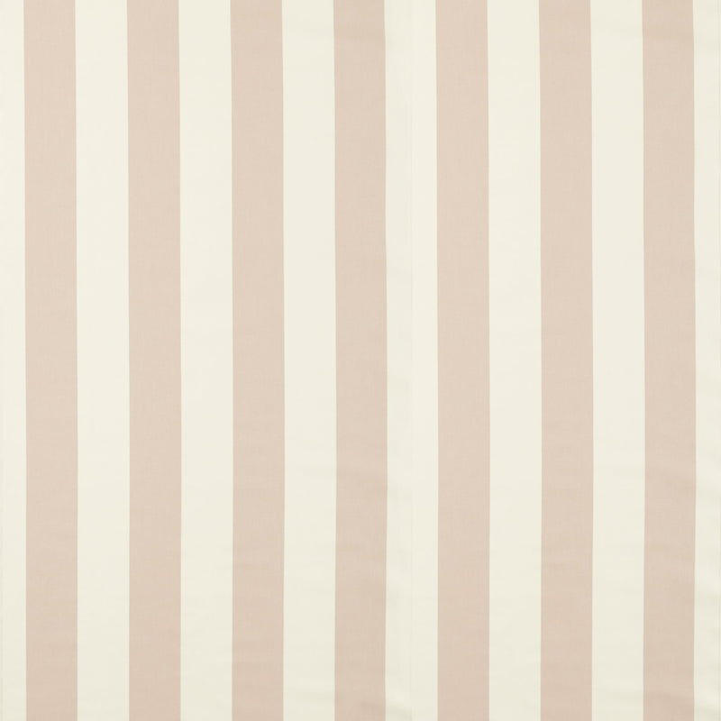 NCEN134798 Central Stripe Blush Central Checks & Stripes Fabric by Scion