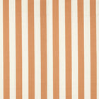 NCEN134802 Central Stripe Tangerine Central Checks & Stripes Fabric by Scion