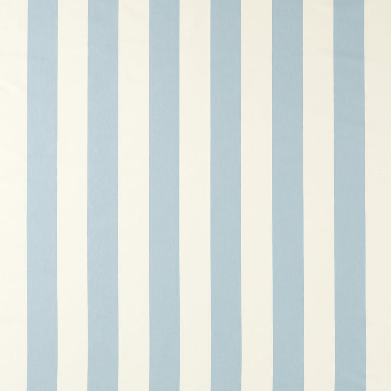 NCEN134806 Central Stripe Cornflower Central Checks & Stripes Fabric by Scion