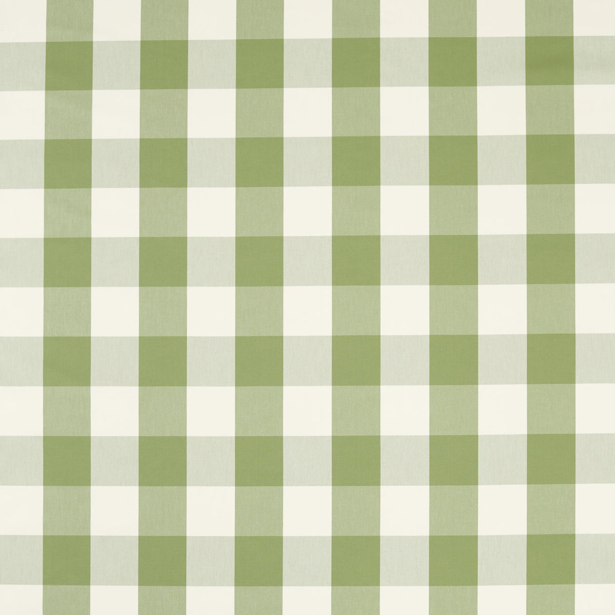NCEN134807 Central Check Pine Central Checks & Stripes Fabric by Scion
