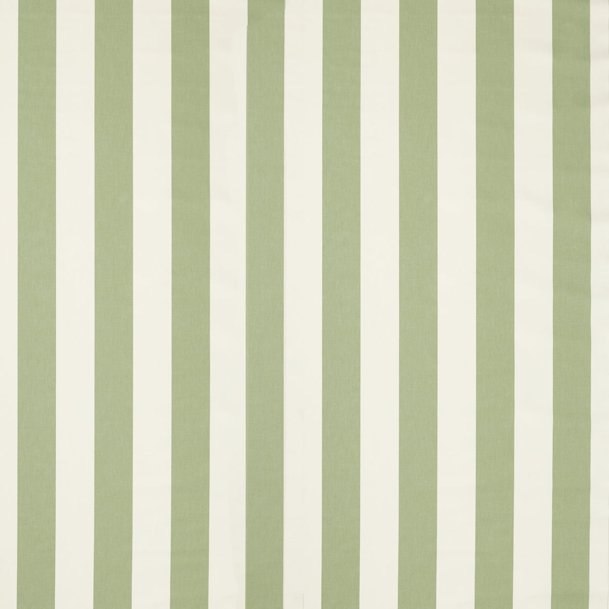 NCEN134808 Central Stripe Pine Central Checks & Stripes Fabric by Scion