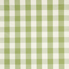 NCEN134809 Central Check Pea Green / Kelly Green Central Checks & Stripes Fabric by Scion