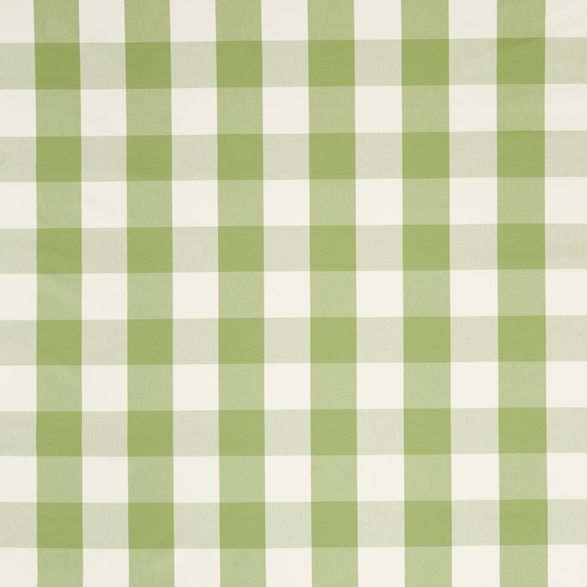 NCEN134809 Central Check Pea Green / Kelly Green Central Checks & Stripes Fabric by Scion