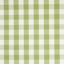 NCEN134809 Central Check Pea Green / Kelly Green Central Checks & Stripes Fabric by Scion