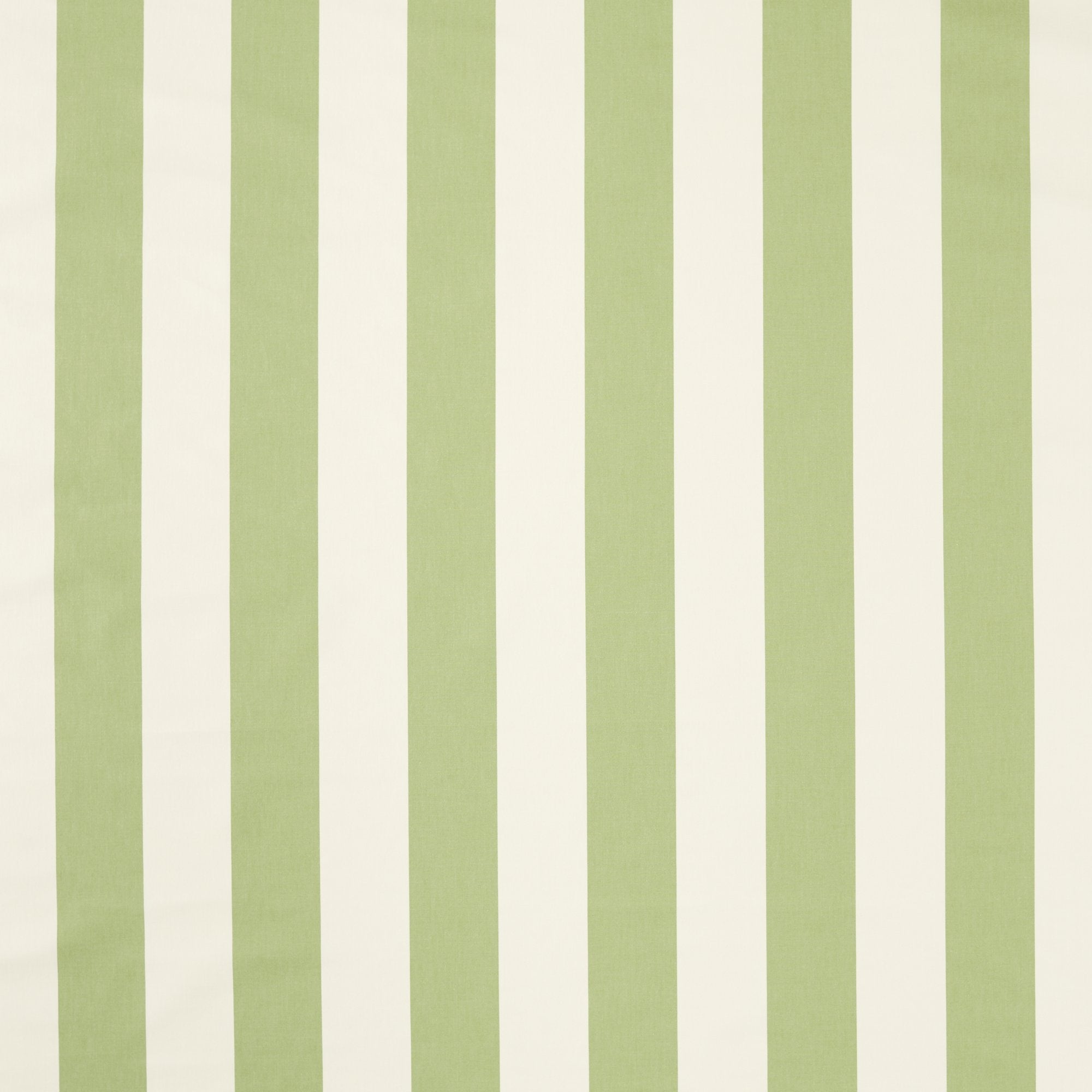 NCEN134810 Central Stripe Pea Green / Kelly Green Central Checks & Stripes Fabric by Scion