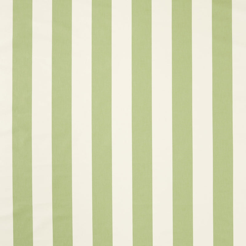 NCEN134810 Central Stripe Pea Green / Kelly Green Central Checks & Stripes Fabric by Scion