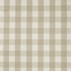 NCEN134811 Central Check Pebble Central Checks & Stripes Fabric by Scion