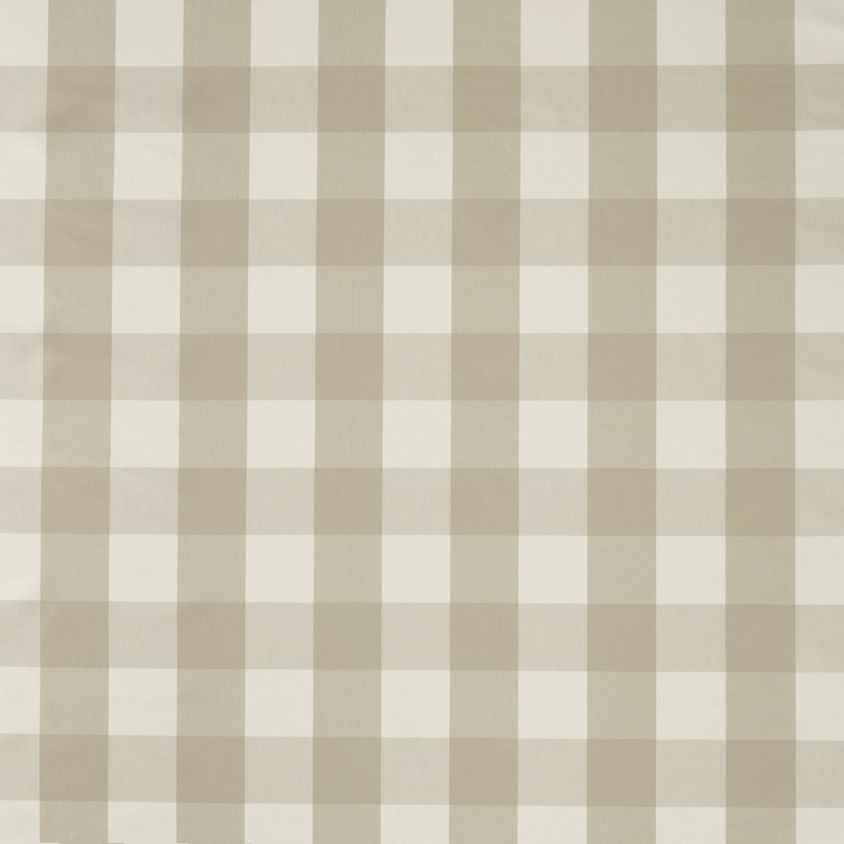 NCEN134811 Central Check Pebble Central Checks & Stripes Fabric by Scion