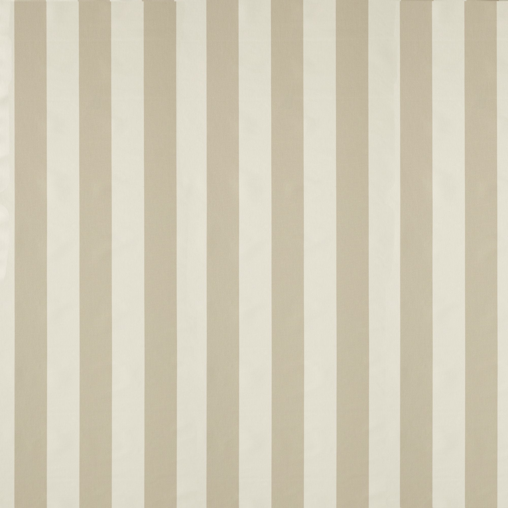 NCEN134812 Central Stripe Pebble Central Checks & Stripes Fabric by Scion