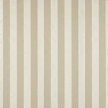 NCEN134812 Central Stripe Pebble Central Checks & Stripes Fabric by Scion
