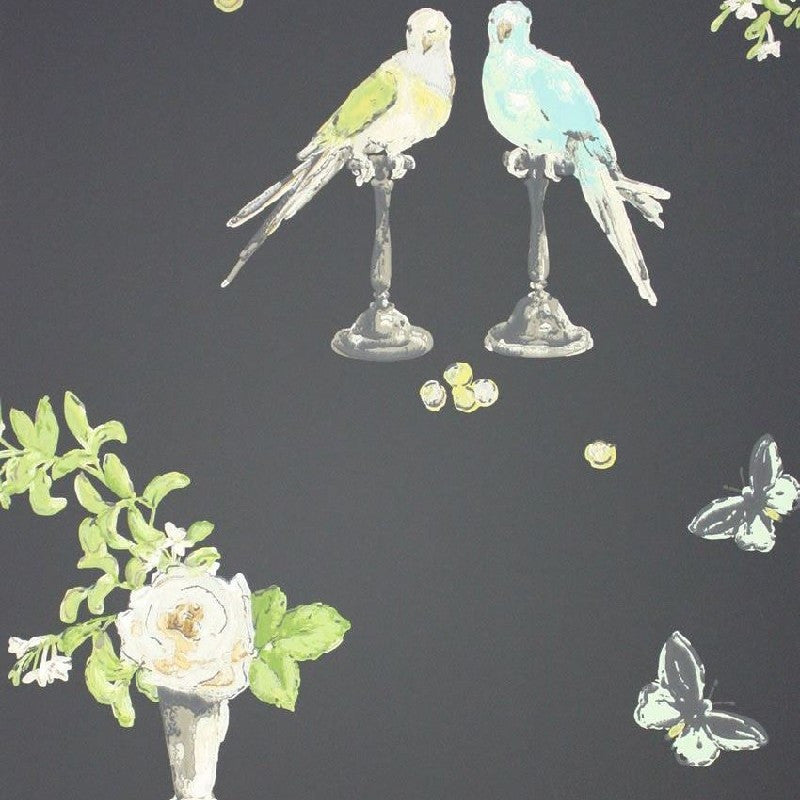 Nina Campbell Perroquet Black - NCW3830/04 Wallpaper