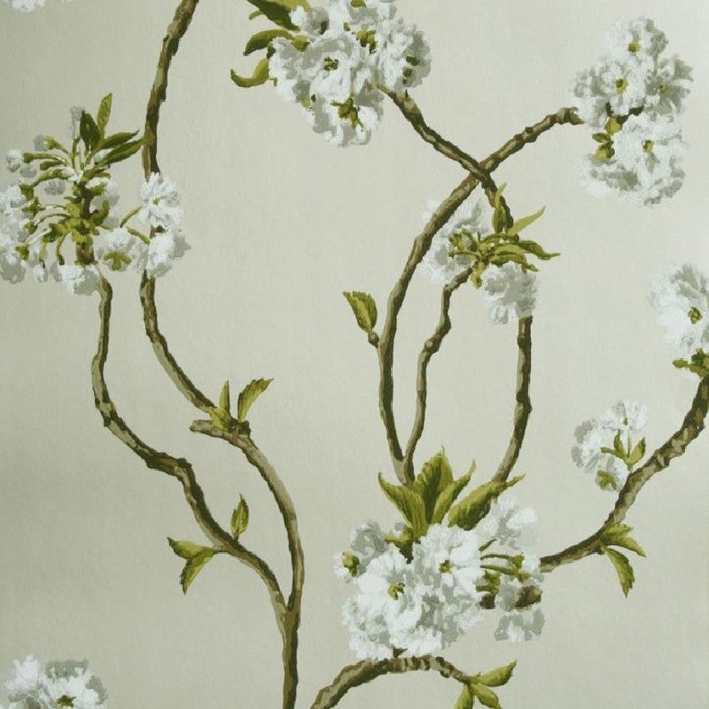 Nina Campbell Sylvana Orchard Blossom Wallpaper