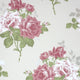 Nina Campbell Paradiso Rosa Alba Wallpaper