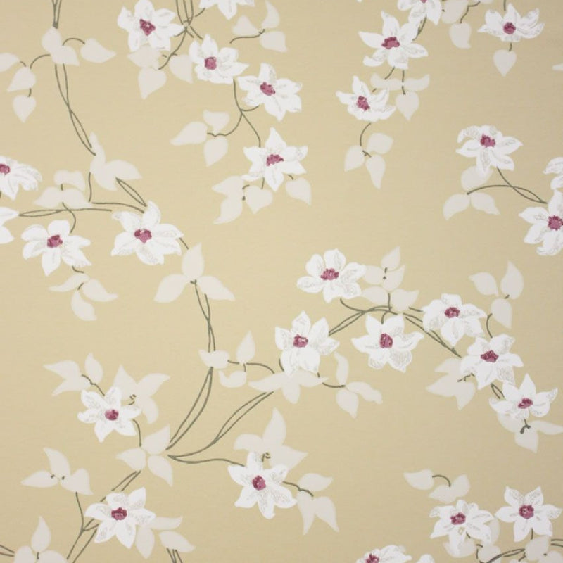 Nina Campbell Montacute Malleny NCW4065-05 ( NCW406505 ) Wallpaper