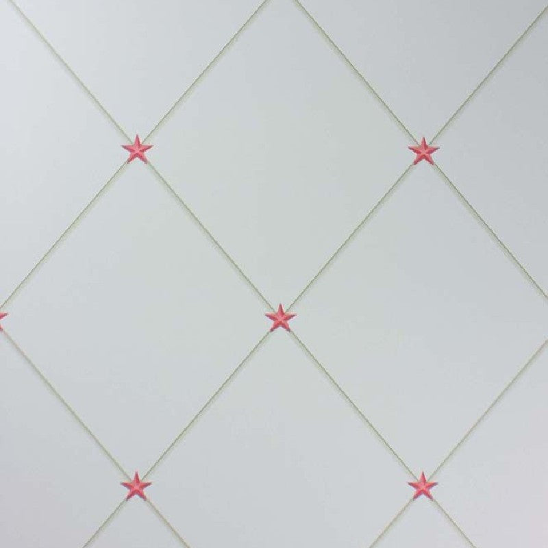 Nina Campbell Rosslyn Torosay - NCW4151-02 Wallpaper