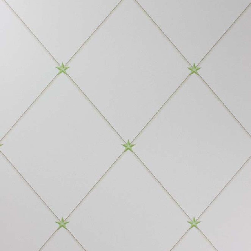 Nina Campbell Rosslyn Torosay - NCW4151-03 Wallpaper