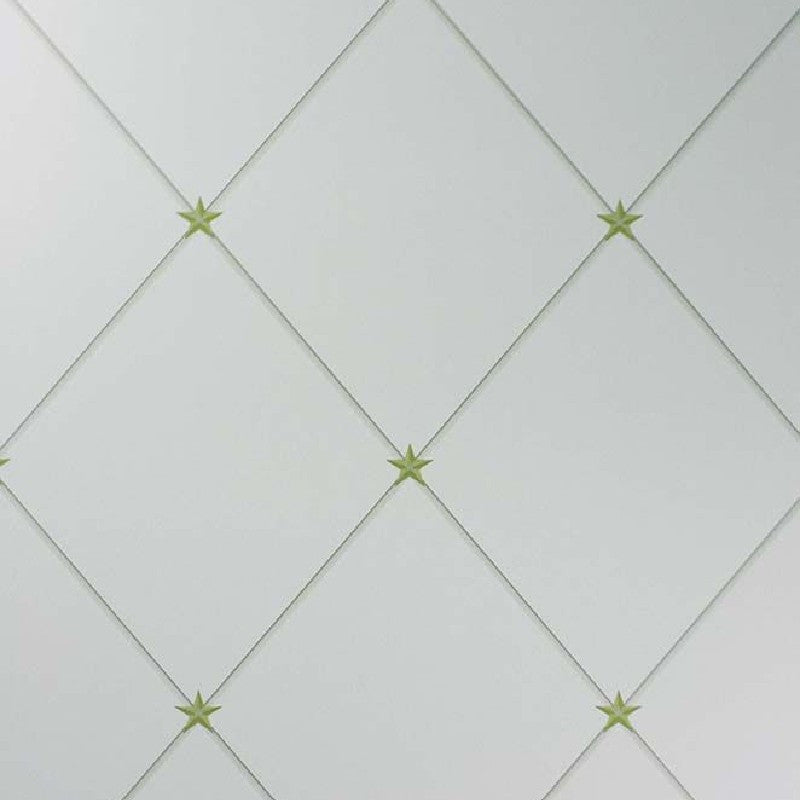 Nina Campbell Rosslyn Torosay - NCW4151-04 Wallpaper