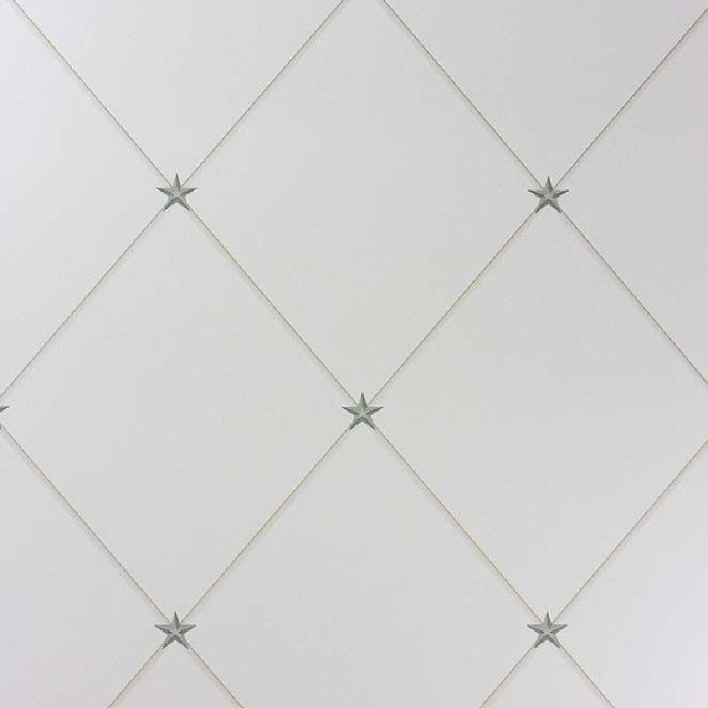 Nina Campbell Rosslyn Torosay - NCW4151-06 Wallpaper