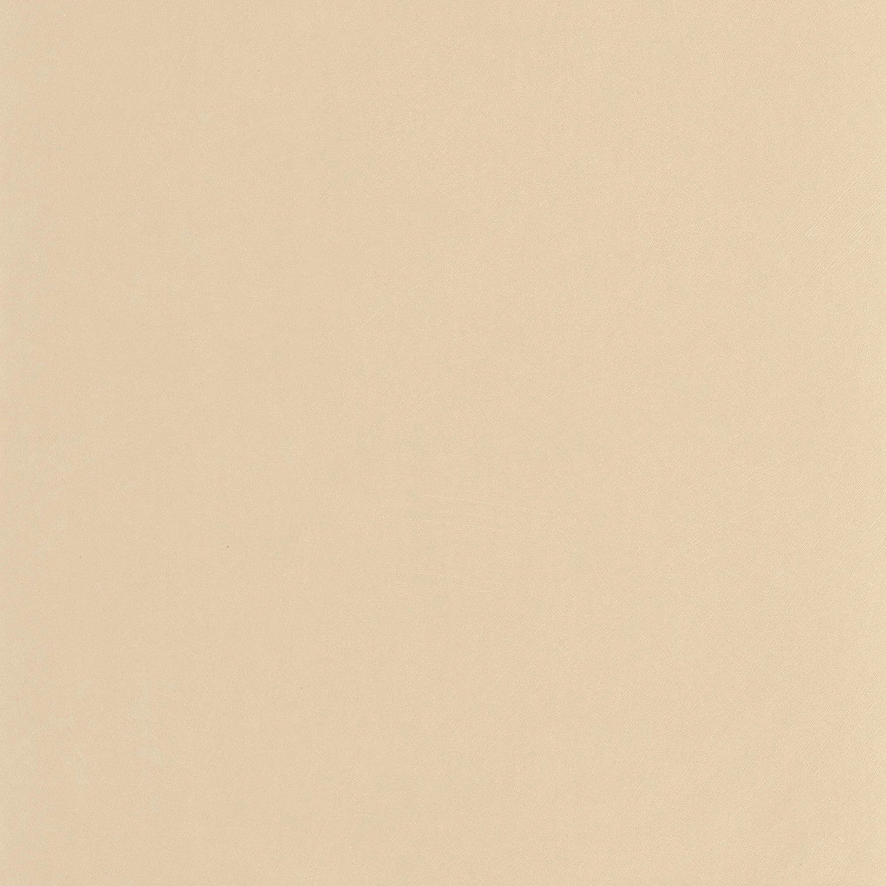 NEST201001414 Nest Wallpaper by Casadeco