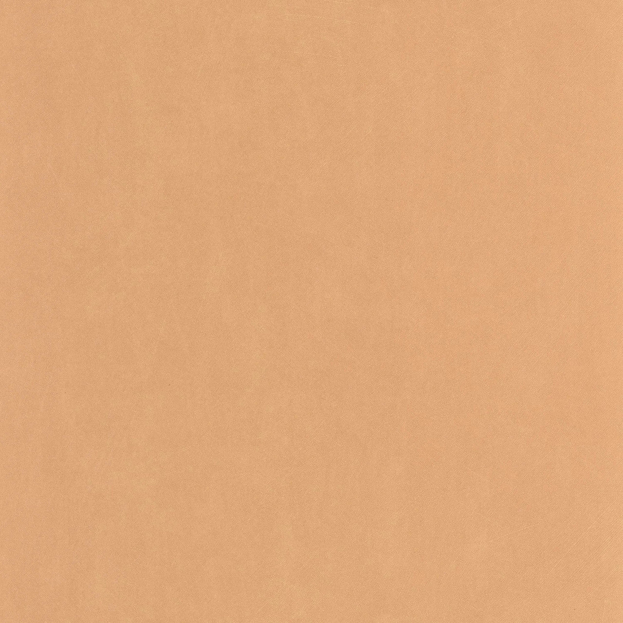 NEST201003232 Nest Wallpaper by Casadeco