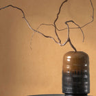 NEST201003232 Nest Wallpaper by Casadeco