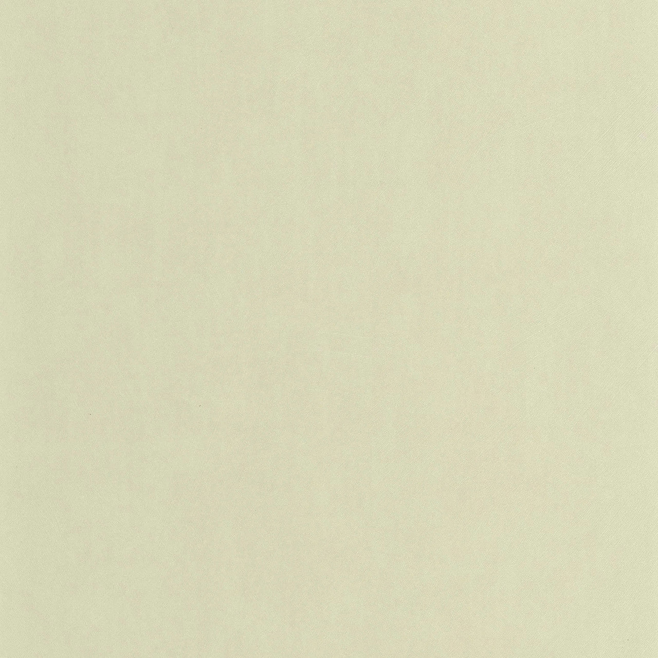 NEST201007171 Nest Wallpaper by Casadeco