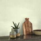 NEST201007171 Nest Wallpaper by Casadeco