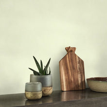 NEST201007171 Nest Wallpaper by Casadeco