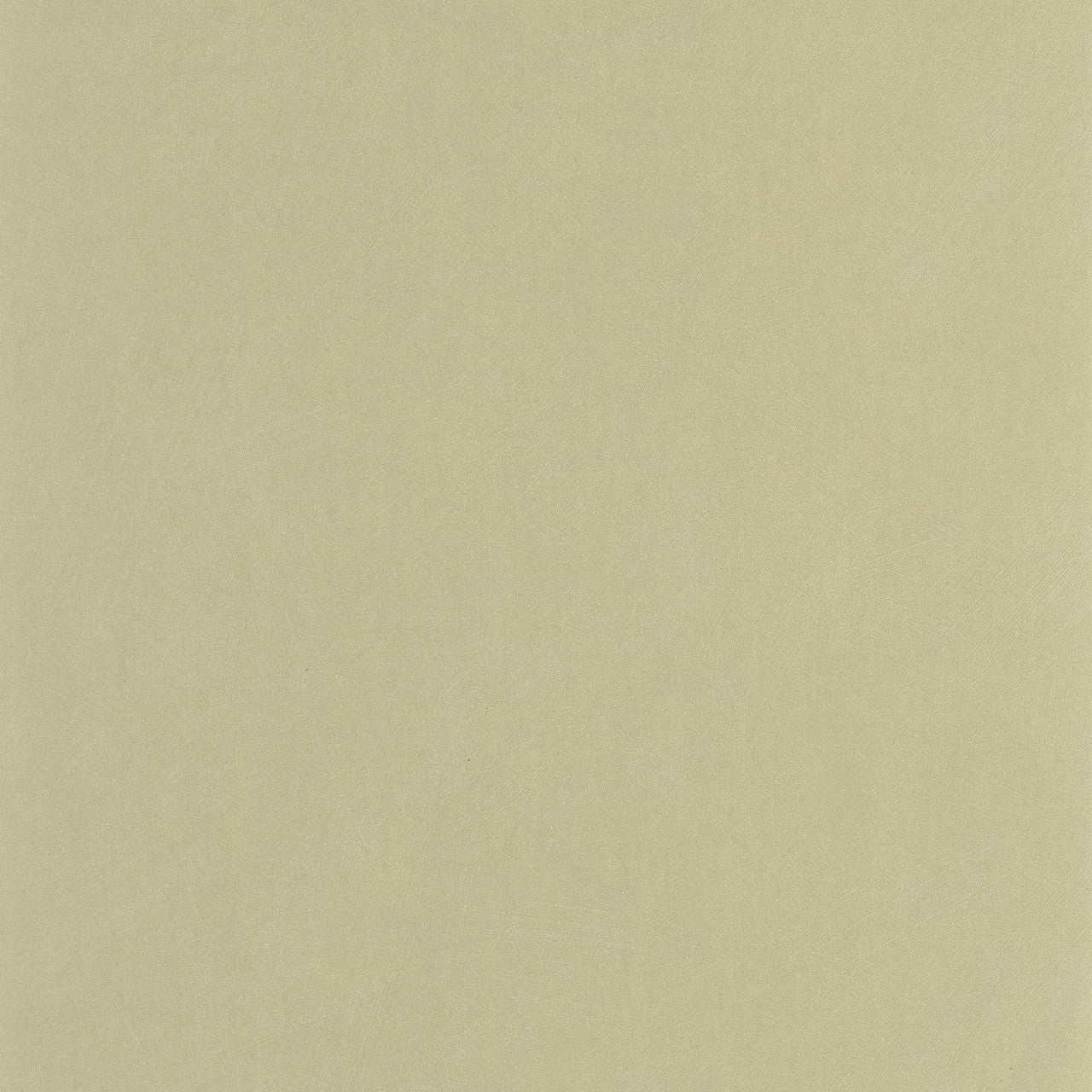 NEST201007202 Nest Wallpaper by Casadeco