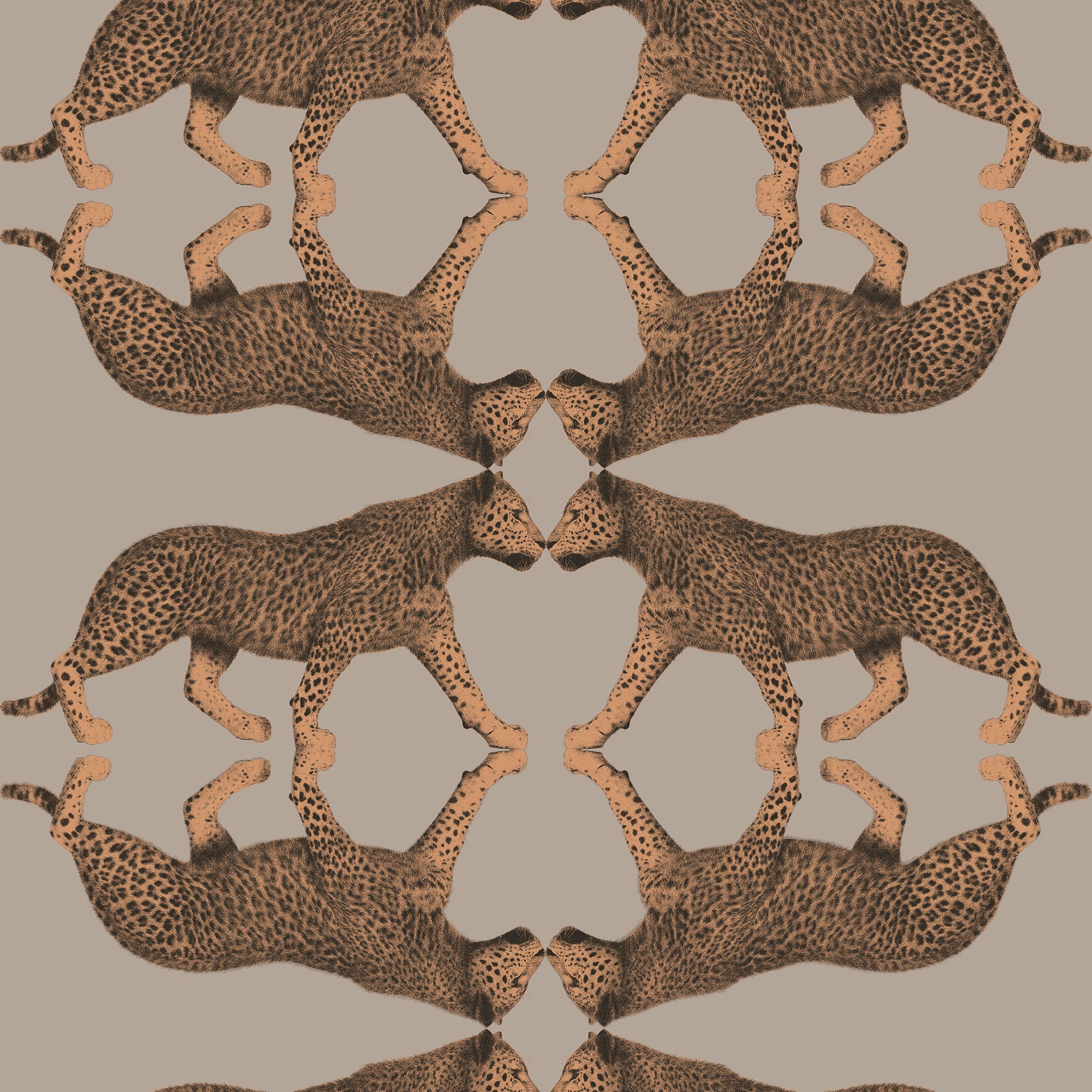 NHW1033 Sabor Enchanted Wallpaper By Galerie