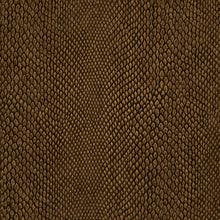 NHW1037 Naja Enchanted Wallpaper By Galerie