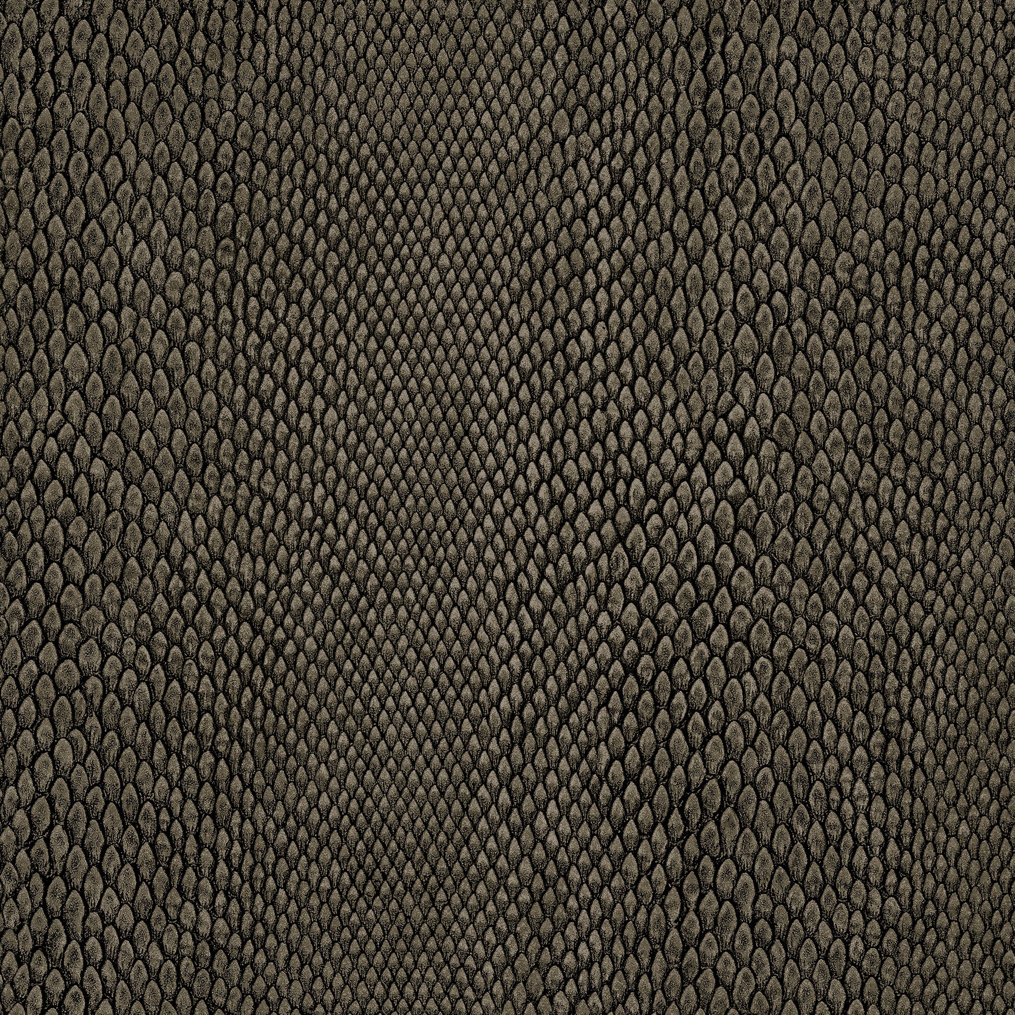 NHW1039 Naja Enchanted Wallpaper By Galerie