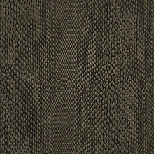 NHW1039 Naja Enchanted Wallpaper By Galerie