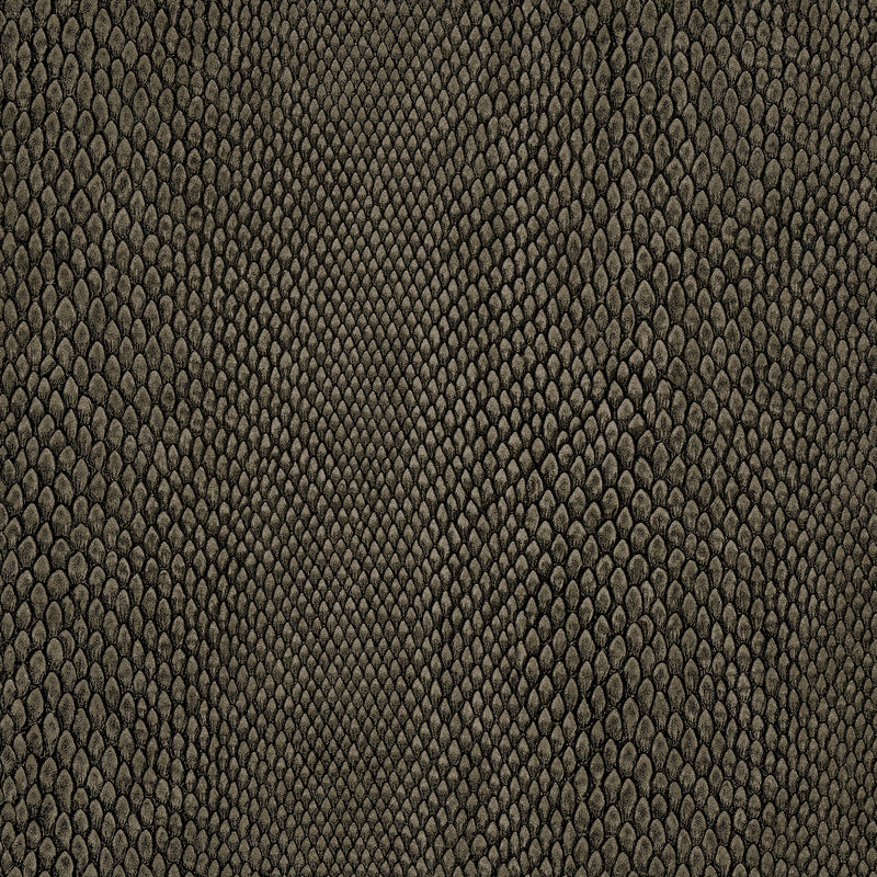 NHW1039 Naja Enchanted Wallpaper By Galerie