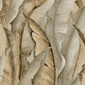 Malay Enchanted Wallpaper By Galerie