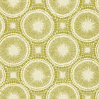110256 ( NMEL110256 ) Tree Circles Melinki Wallpaper by Scion