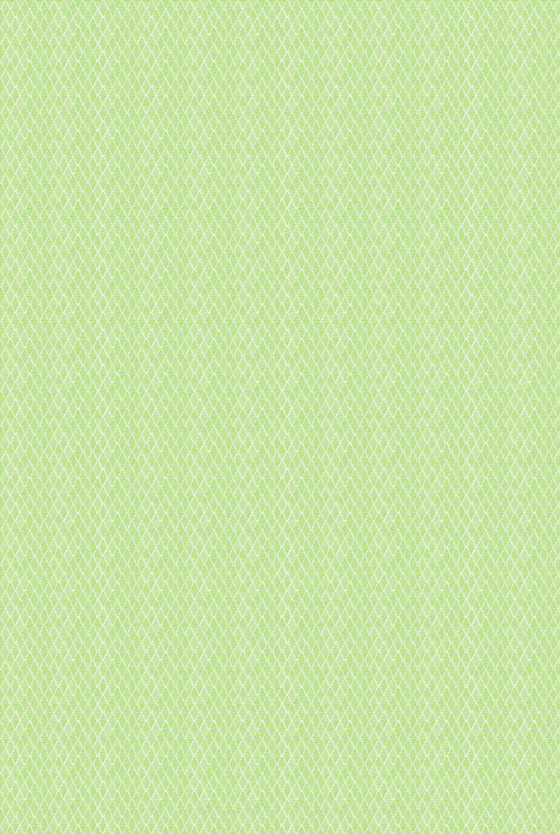 NPOF121367 Triangle Trellis Pea Green Pomona Fabric by Scion