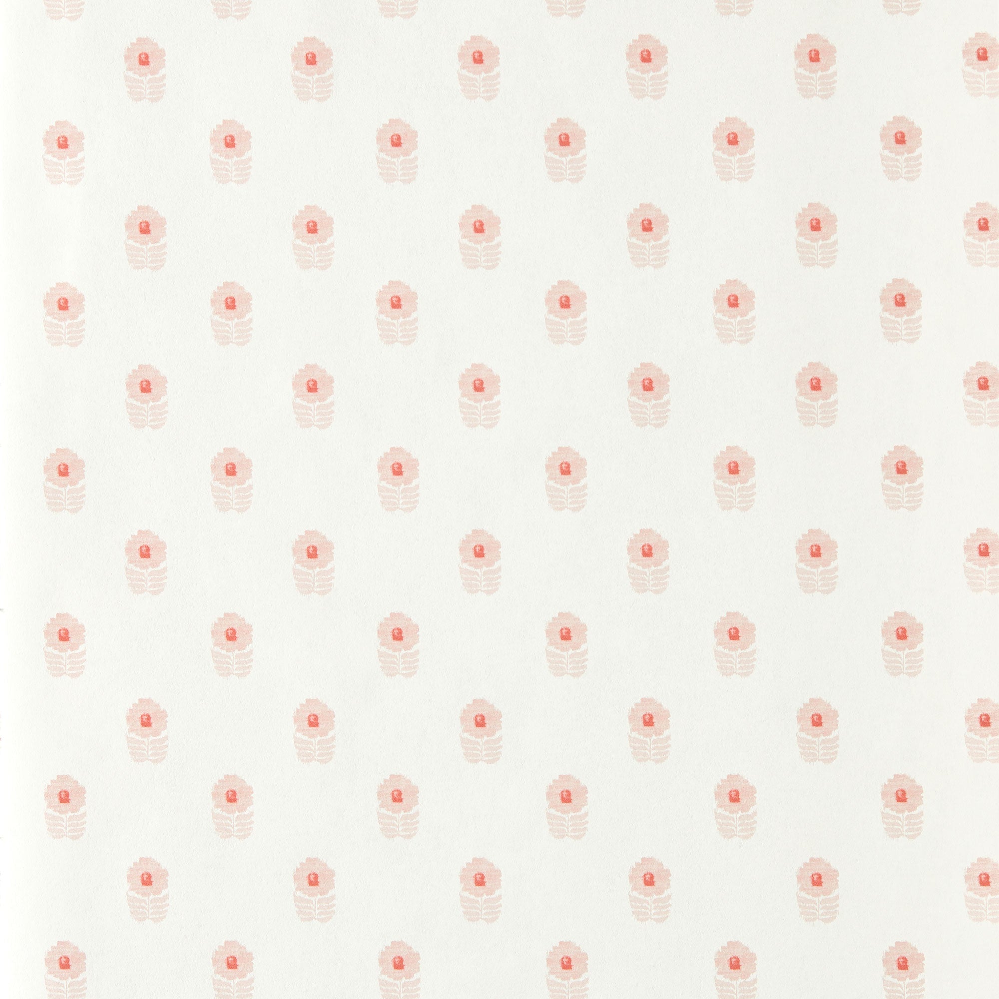 NPOP113407 Ditsy Daisy Blush Wallpaper by Scion