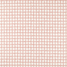 NSCD121321 Oakham Scion Fabric