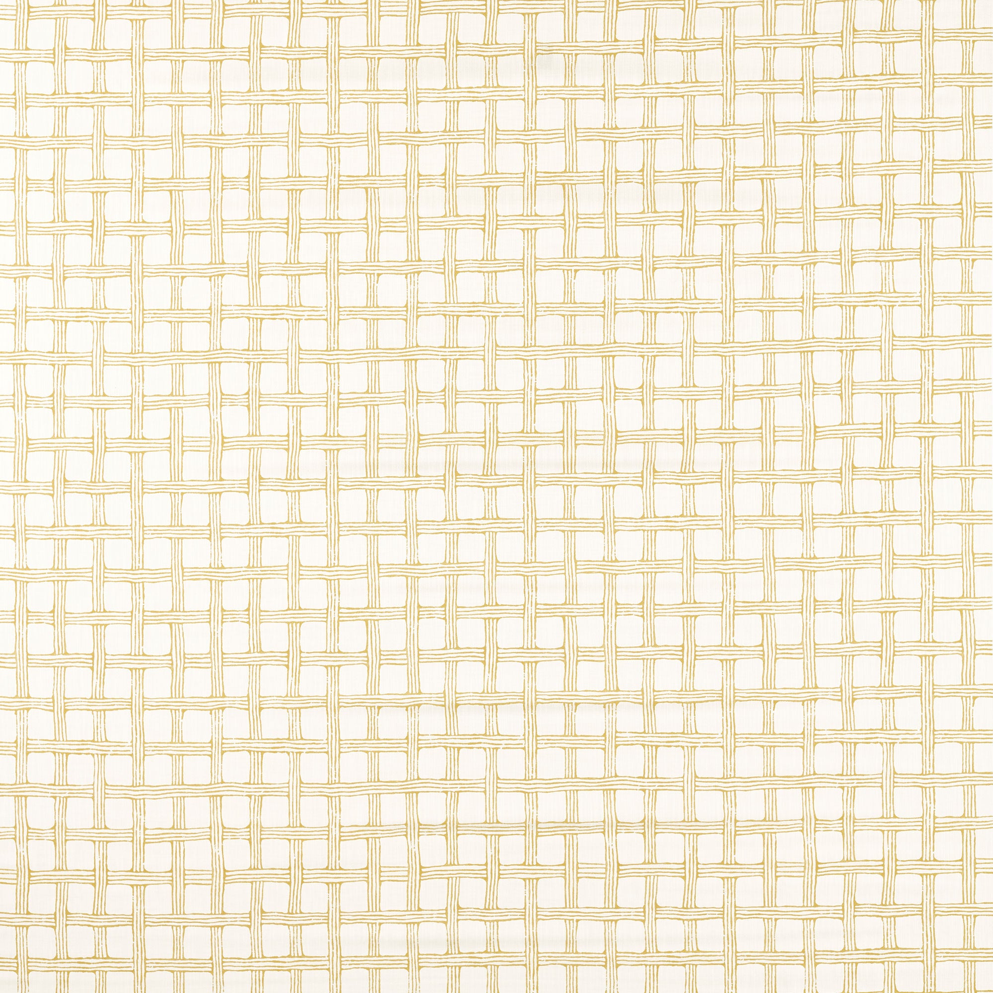 NSCD121323 Oakham Scion Fabric