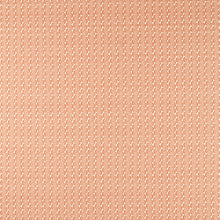 NSCD121325 Oakham Scion Fabric