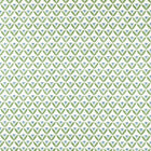 NSCD121329 Oakham Scion Fabric