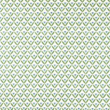 NSCD121329 Oakham Scion Fabric
