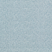 NSCD134625 Oakham Scion Fabric