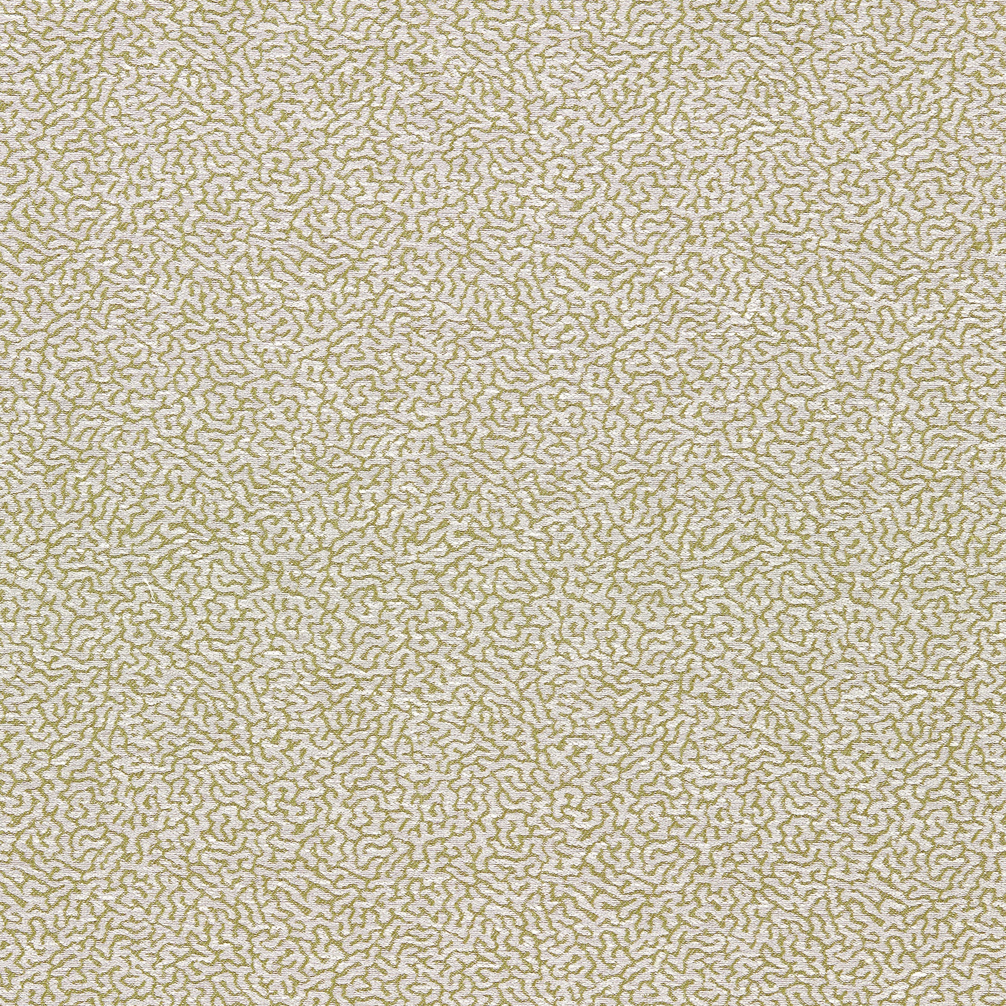 NSCD134626 Oakham Scion Fabric